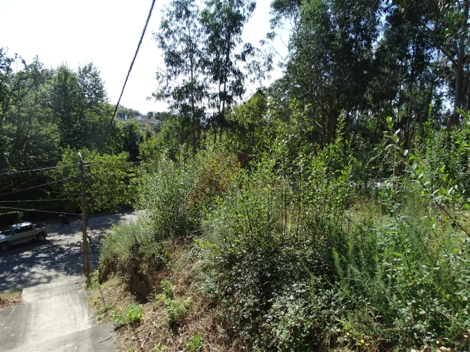 Terreno para Venda em Estorãos Foto 5