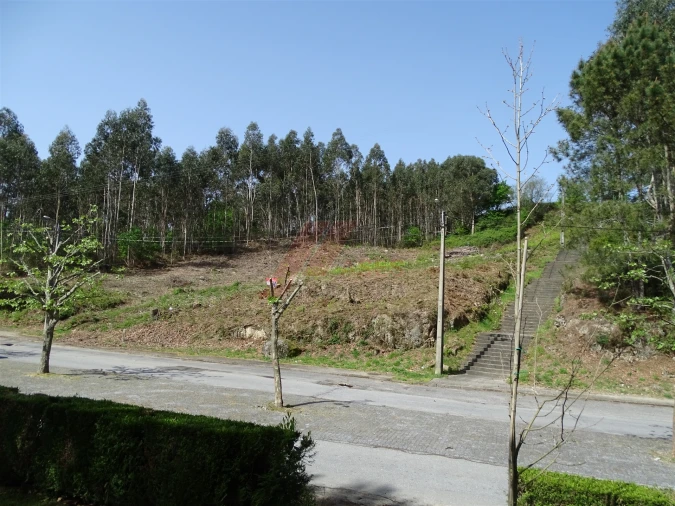 Terreno para Venda em Estorãos Foto 2