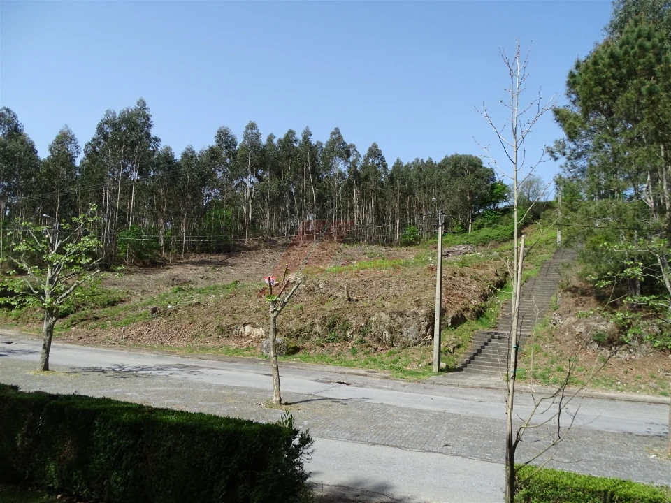 Terreno para Venda em Estorãos Foto 2