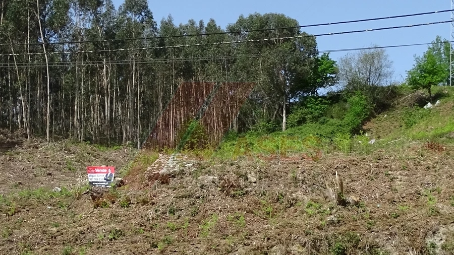 Terreno para Venda em Estorãos