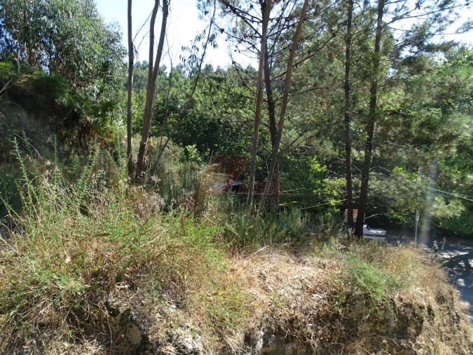 Terreno para Venda em Estorãos Foto 3