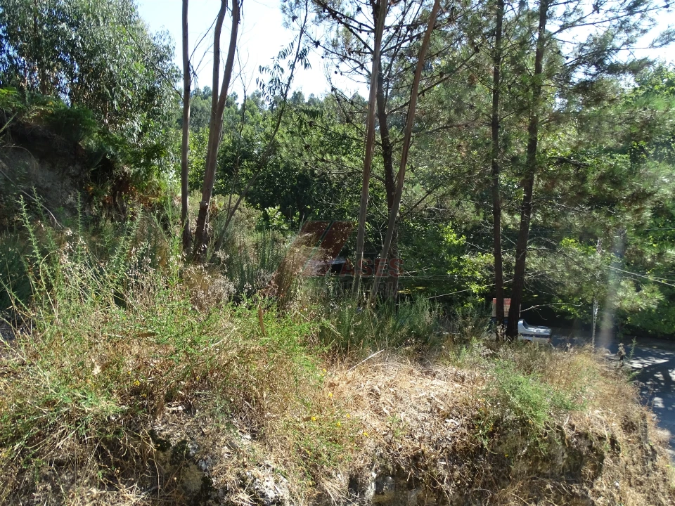 Terreno para Venda em Estorãos Foto 3