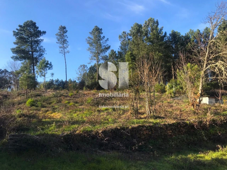 Terreno para Venda em Andrães Foto 8