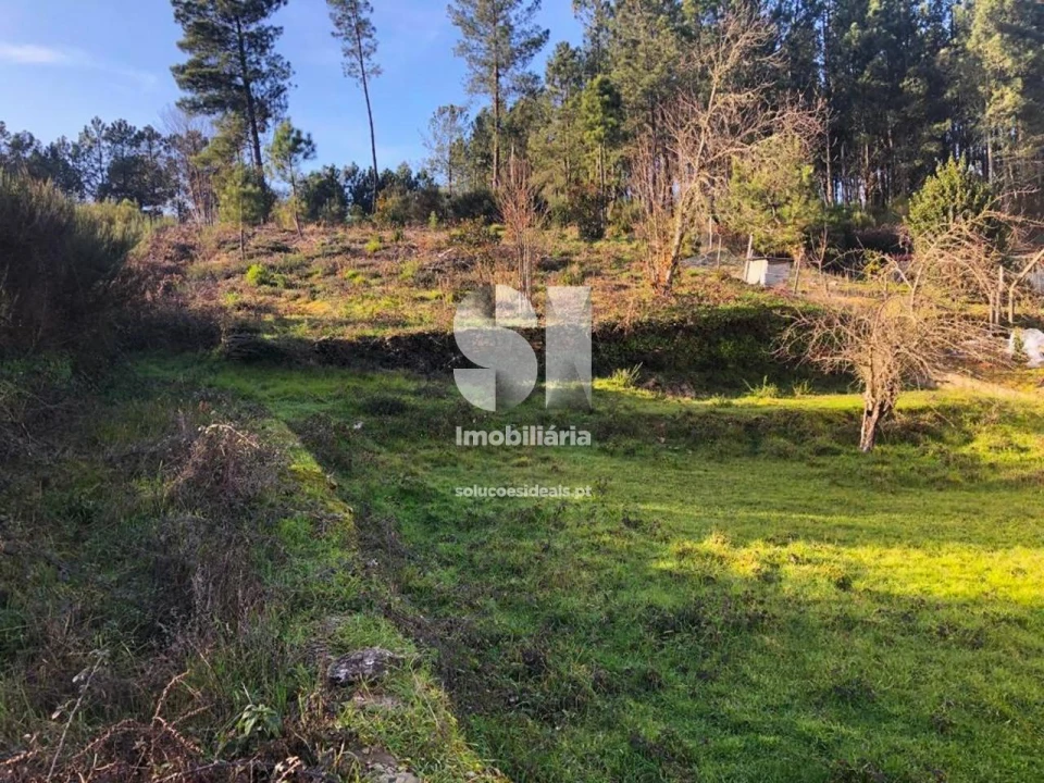 Terreno para Venda em Andrães Foto 11