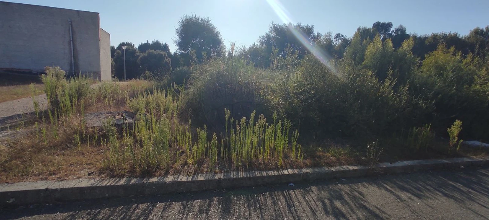 Terreno para Venda em Santa Maria de Lamas Foto 4