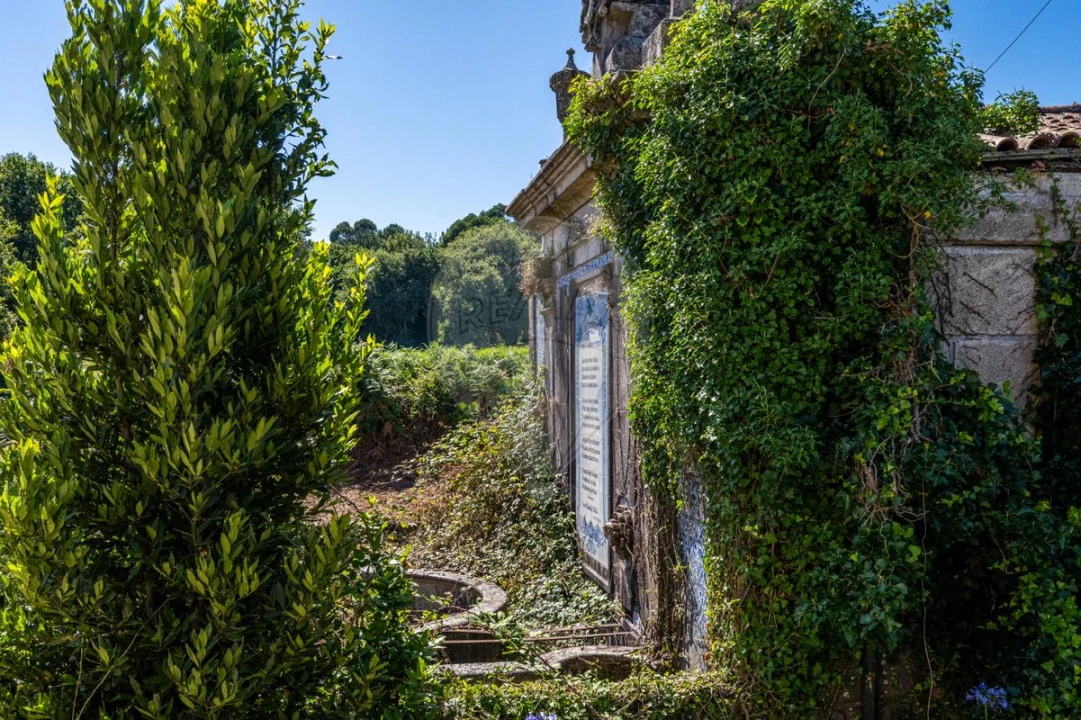 Quinta T0 para Venda em Raimonda Foto 11