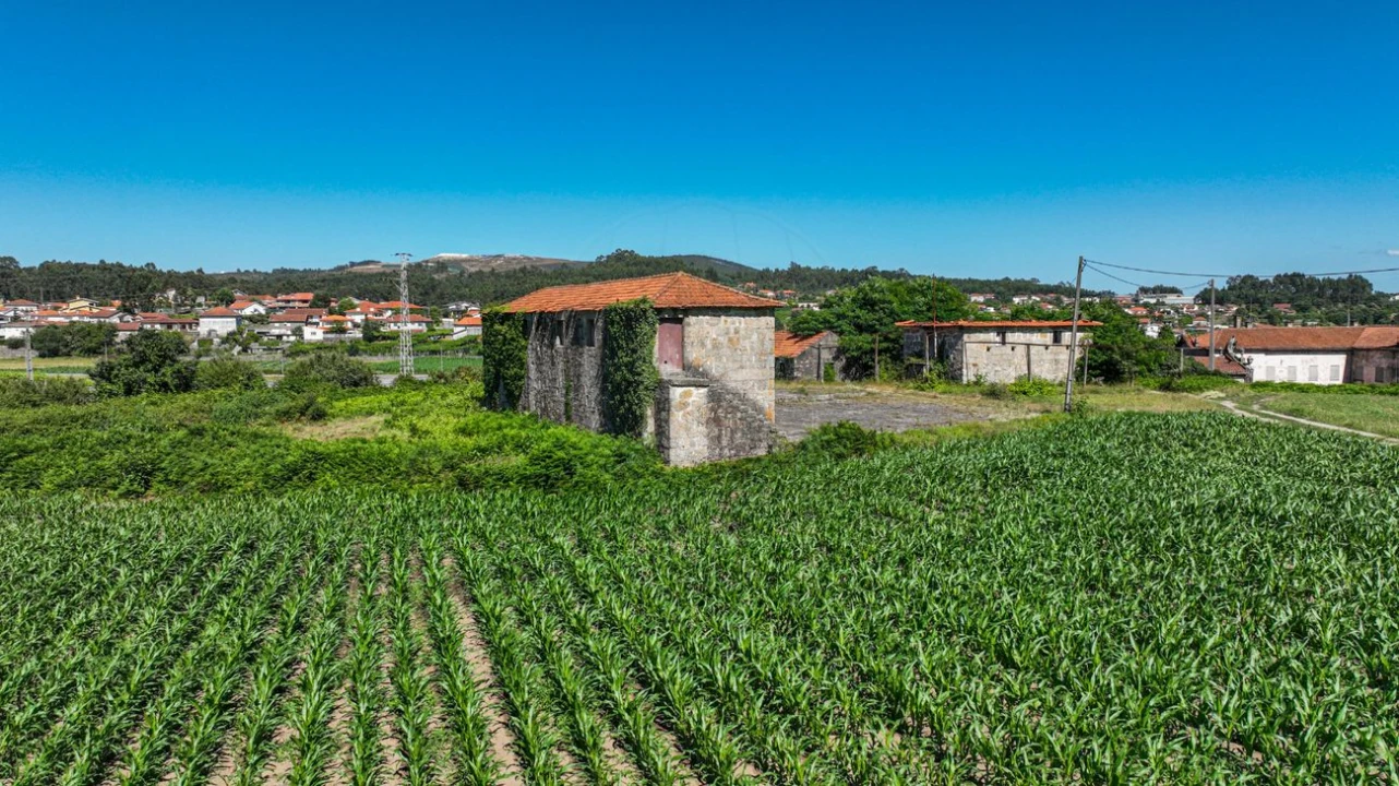 Quinta T0 para Venda em Raimonda Foto 43