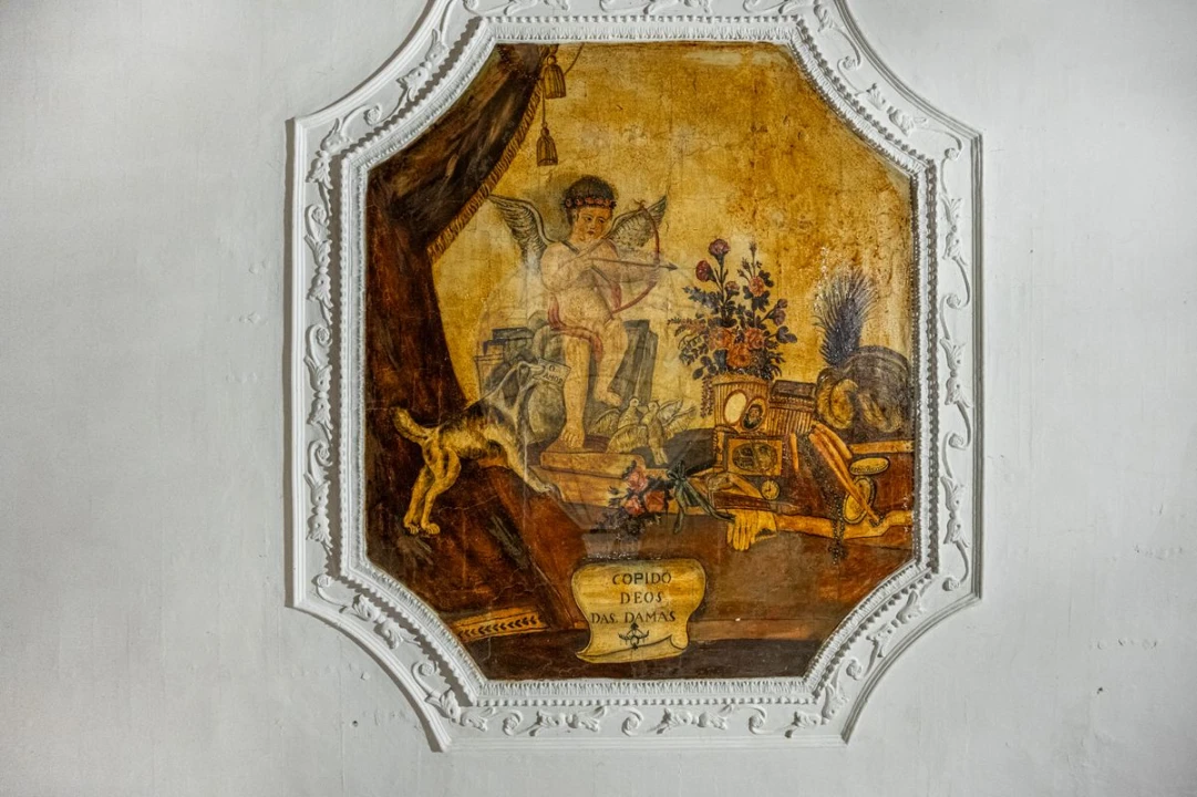 Quinta T0 para Venda em Raimonda Foto 25