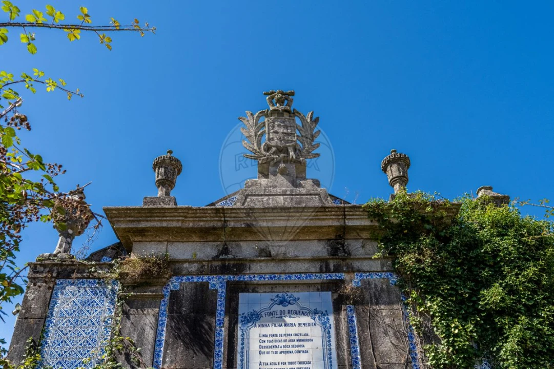 Quinta T0 para Venda em Raimonda Foto 8