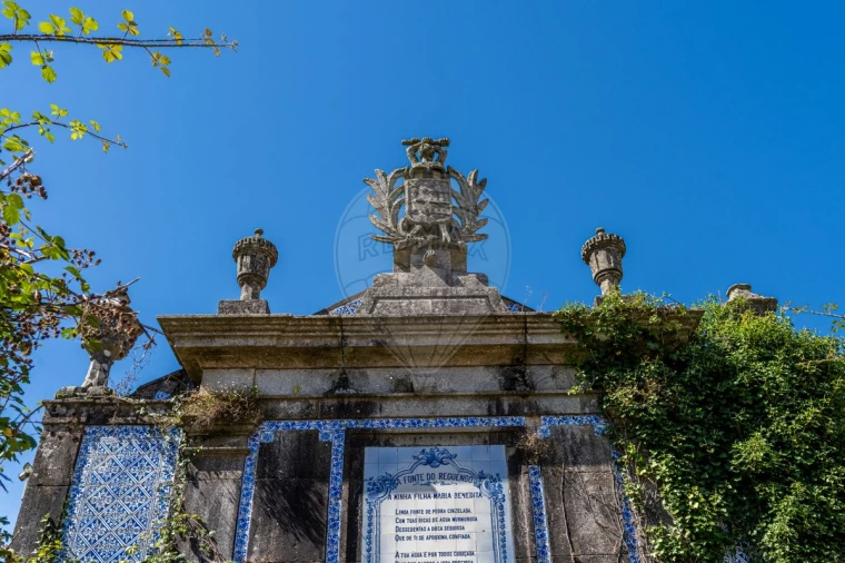 Quinta T0 para Venda em Raimonda Foto 8