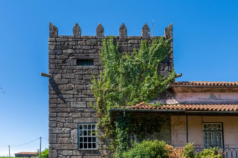 Quinta T0 para Venda em Raimonda Foto 37