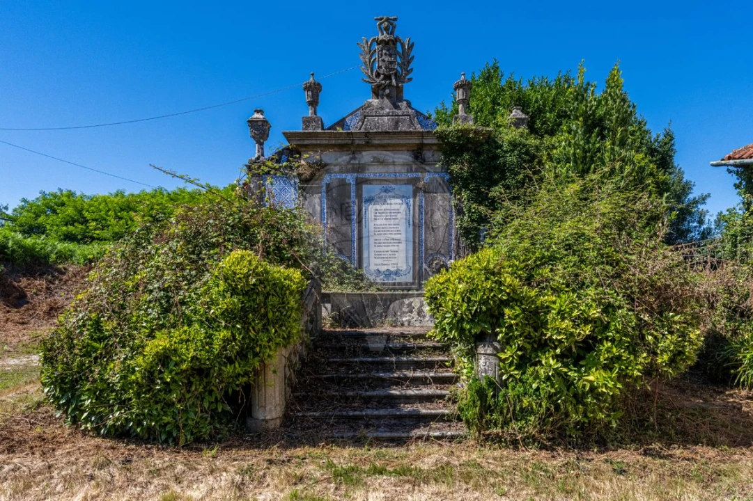 Quinta T0 para Venda em Raimonda Foto 7