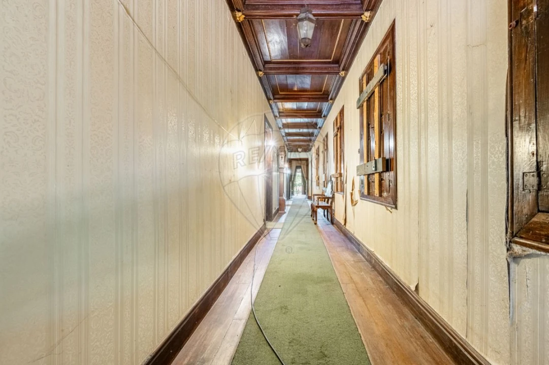 Quinta T0 para Venda em Raimonda Foto 13