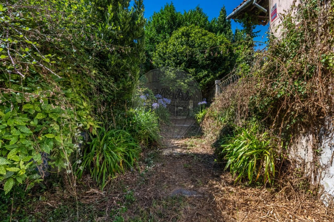 Quinta T0 para Venda em Raimonda Foto 9