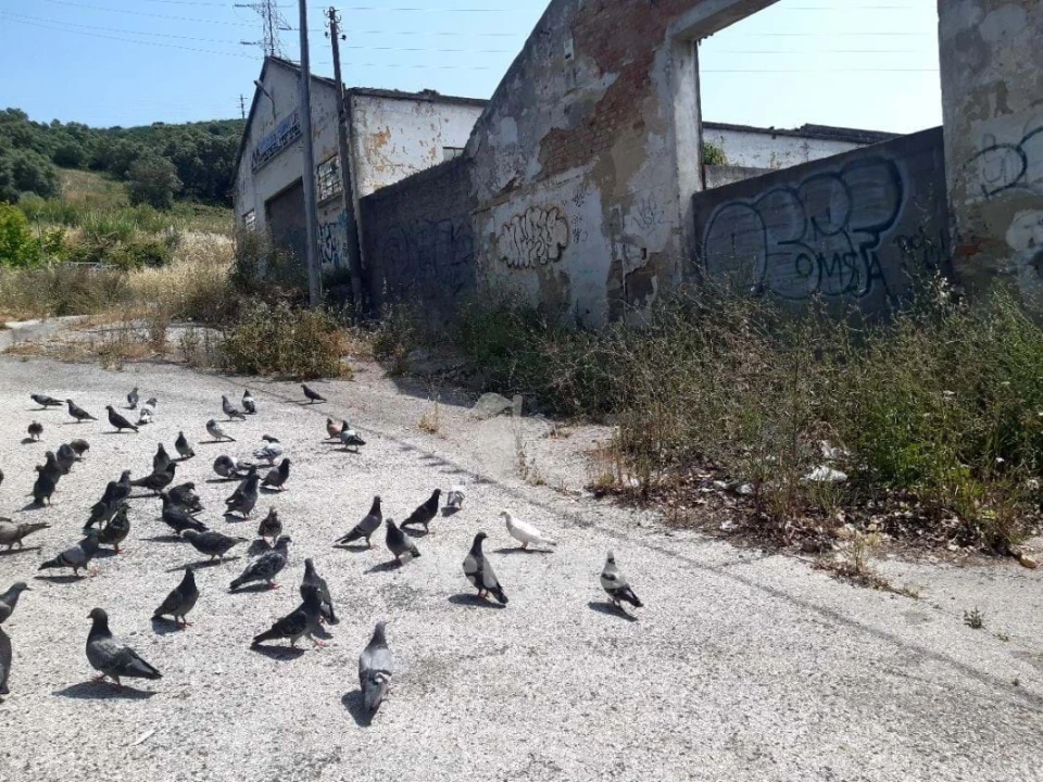 Armazém para Venda em Odivelas Foto 1