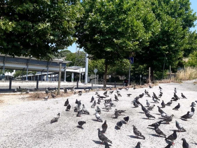 Armazém para Venda em Odivelas Foto 3