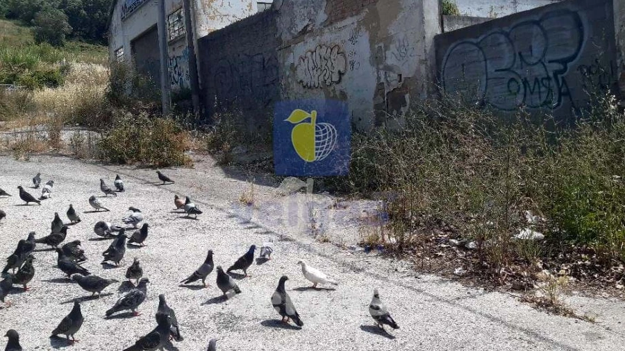 Armazém para Venda em Odivelas