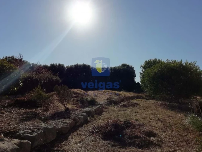 Moradia T4 para Venda em Agualva e Mira-Sintra Foto 32