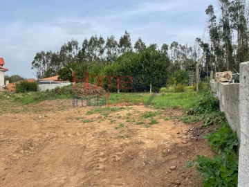 Terreno para Venda em O. Azeméis, Riba-Ul, Ul, Macinhata Seixa, Madail