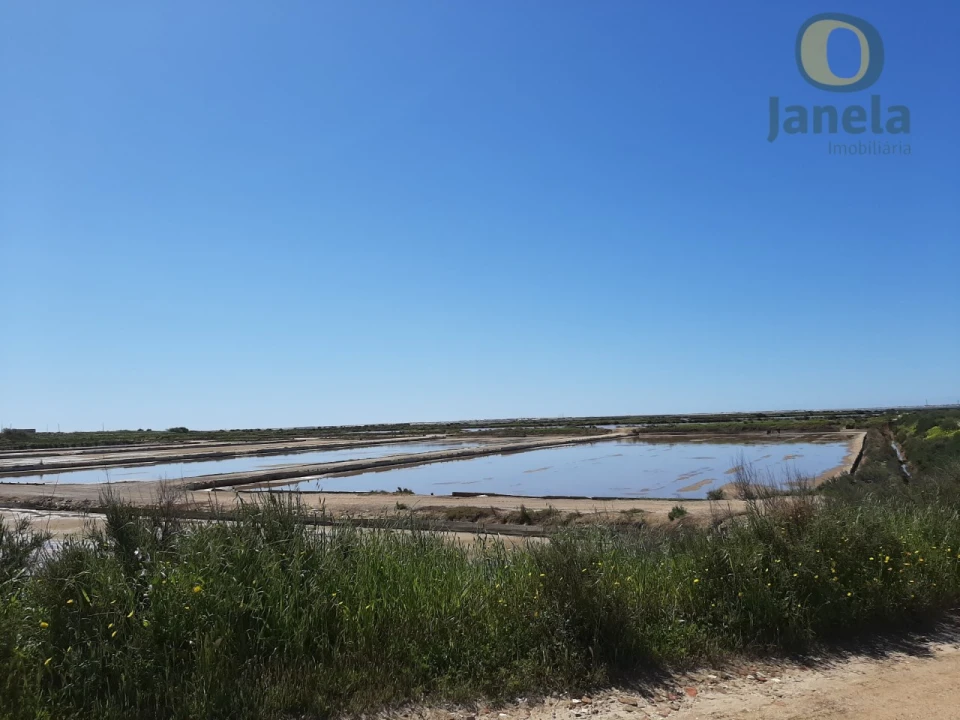 Quinta T5 para Venda em Olhão Foto 5