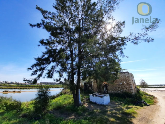 Quinta T5 para Venda em Olhão Foto 4