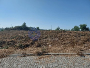 Terreno para Venda em São João de Ver
