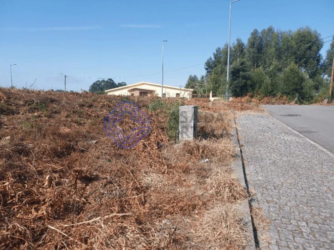 Terreno para Venda em São João de Ver Foto 16