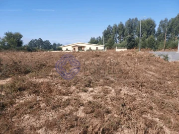 Terreno para Venda em São João de Ver