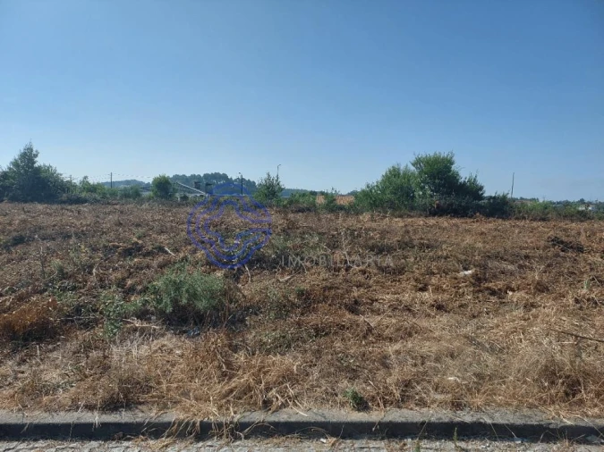 Terreno para Venda em São João de Ver Foto 3