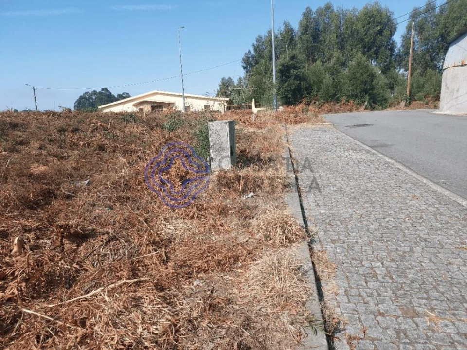 Terreno para Venda em São João de Ver Foto 11