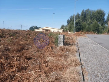 Terreno para Venda em São João de Ver