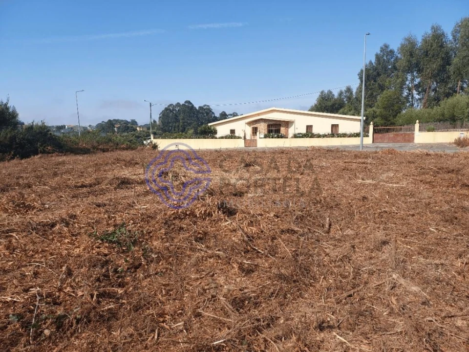 Terreno para Venda em São João de Ver Foto 5
