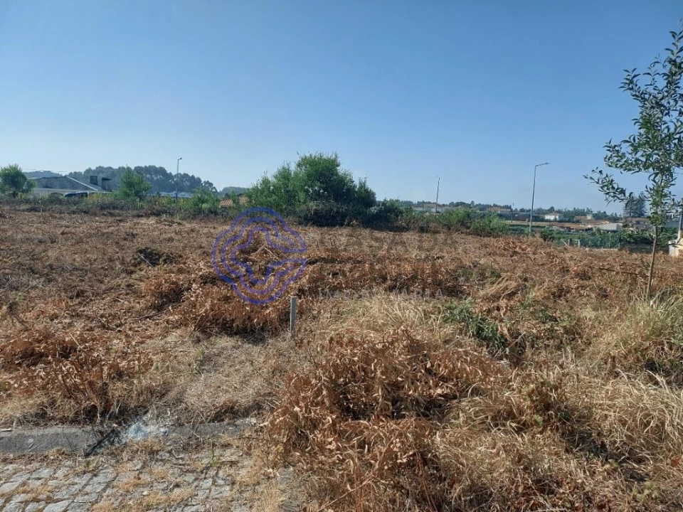 Terreno para Venda em São João de Ver Foto 12