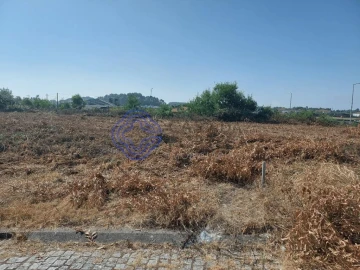 Terreno para Venda em São João de Ver