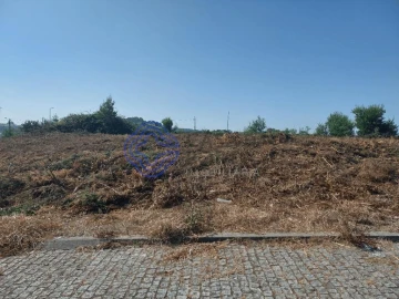 Terreno para Venda em São João de Ver
