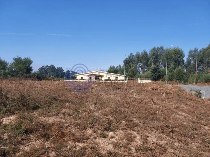 Terreno para Venda em São João de Ver Foto 13