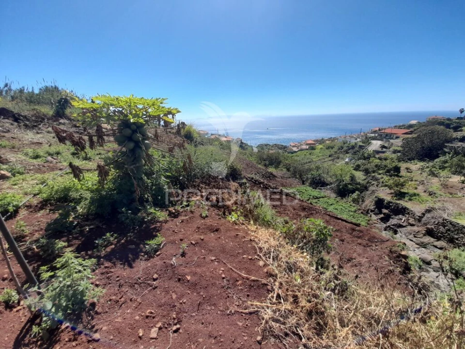 Terreno para Venda em Gaula Foto 1