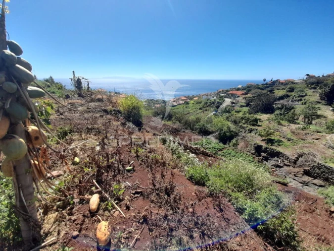 Terreno para Venda em Gaula Foto 3