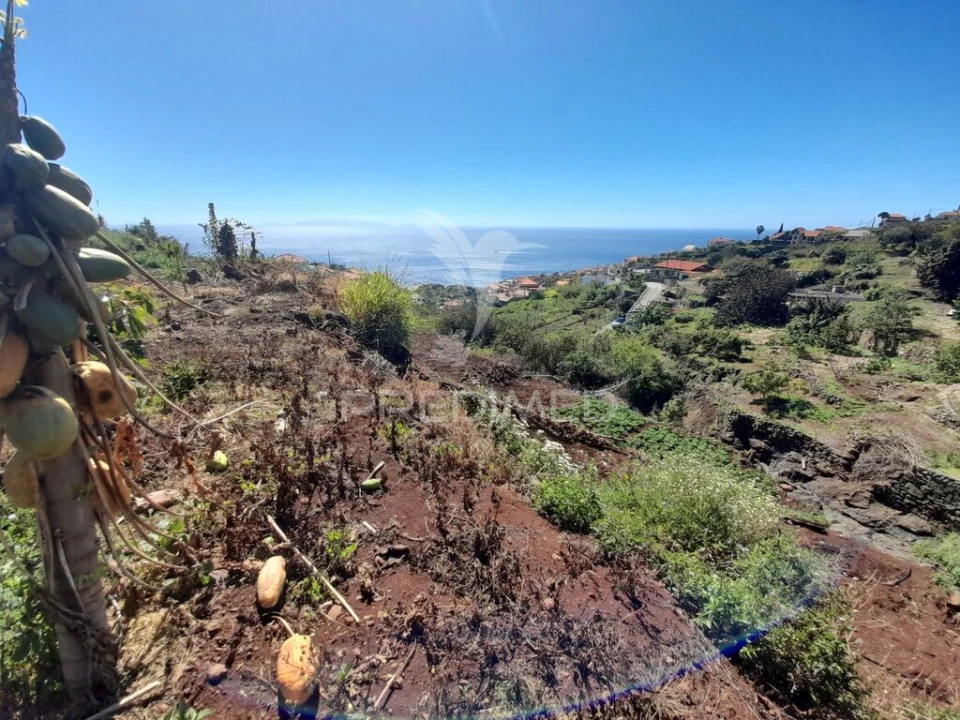 Terreno para Venda em Gaula Foto 3