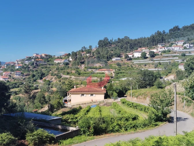 Terreno Agricola ou Rústico para Venda em São Martinho de Sardoura Foto 1