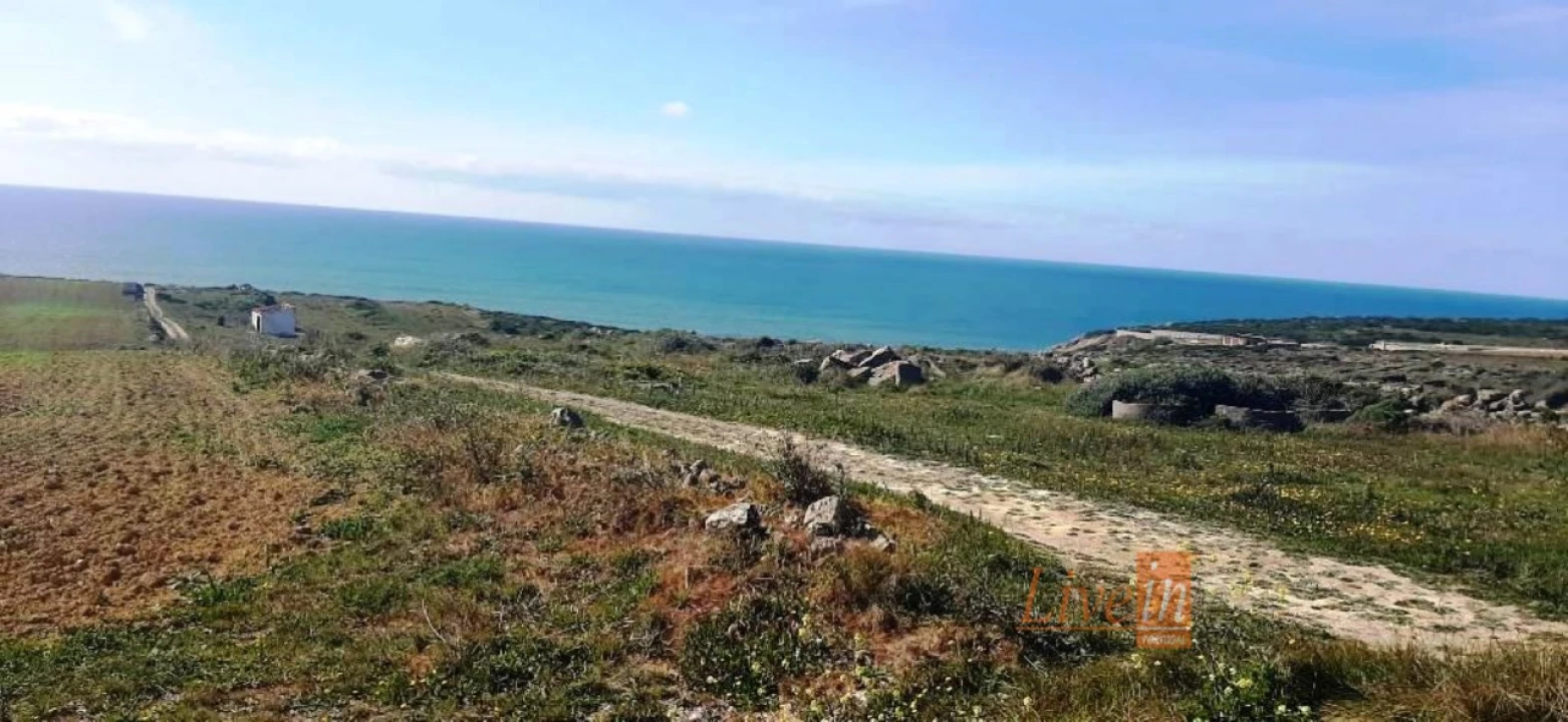 Terreno Agricola ou Rústico para Venda em São João das Lampas e Terrugem Foto 1