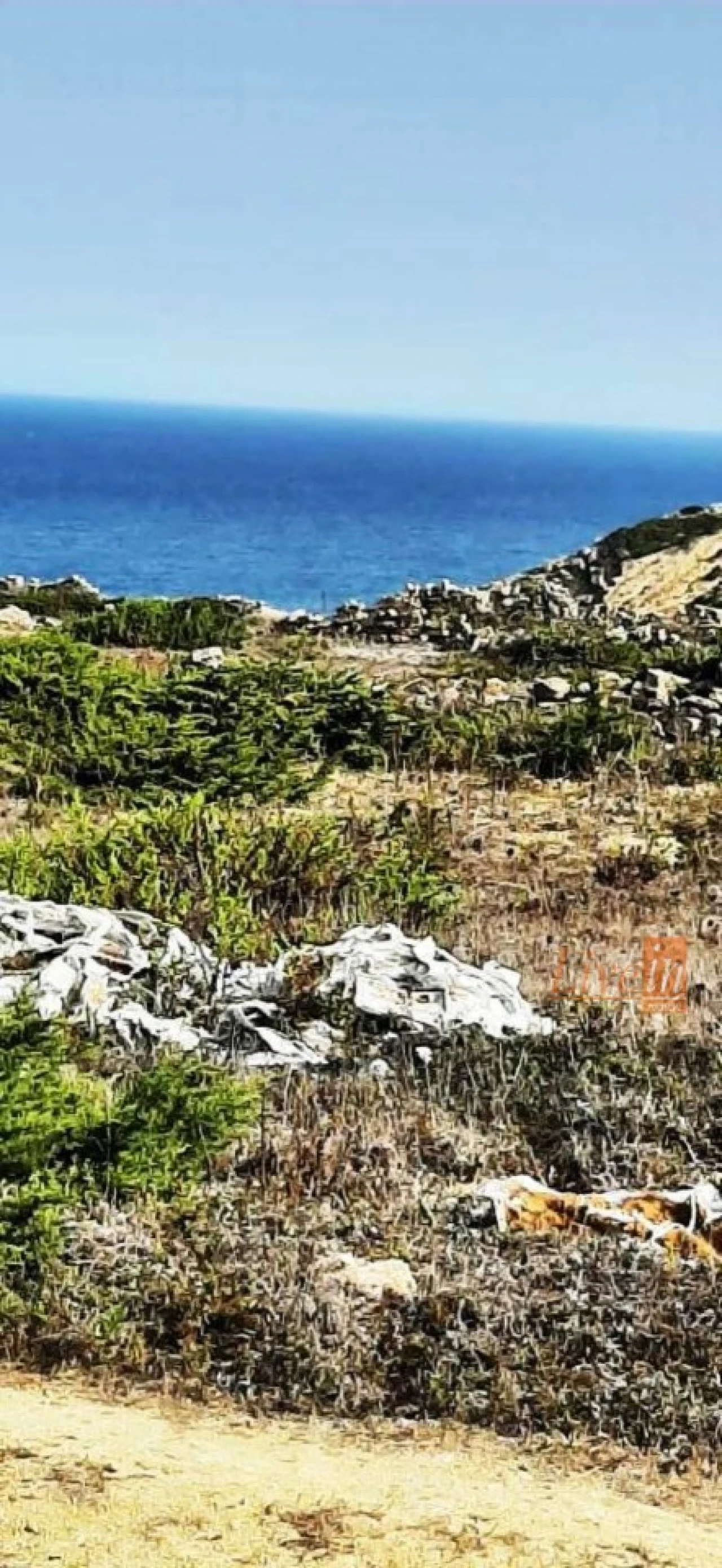 Terreno Agricola ou Rústico para Venda em São João das Lampas e Terrugem Foto 6