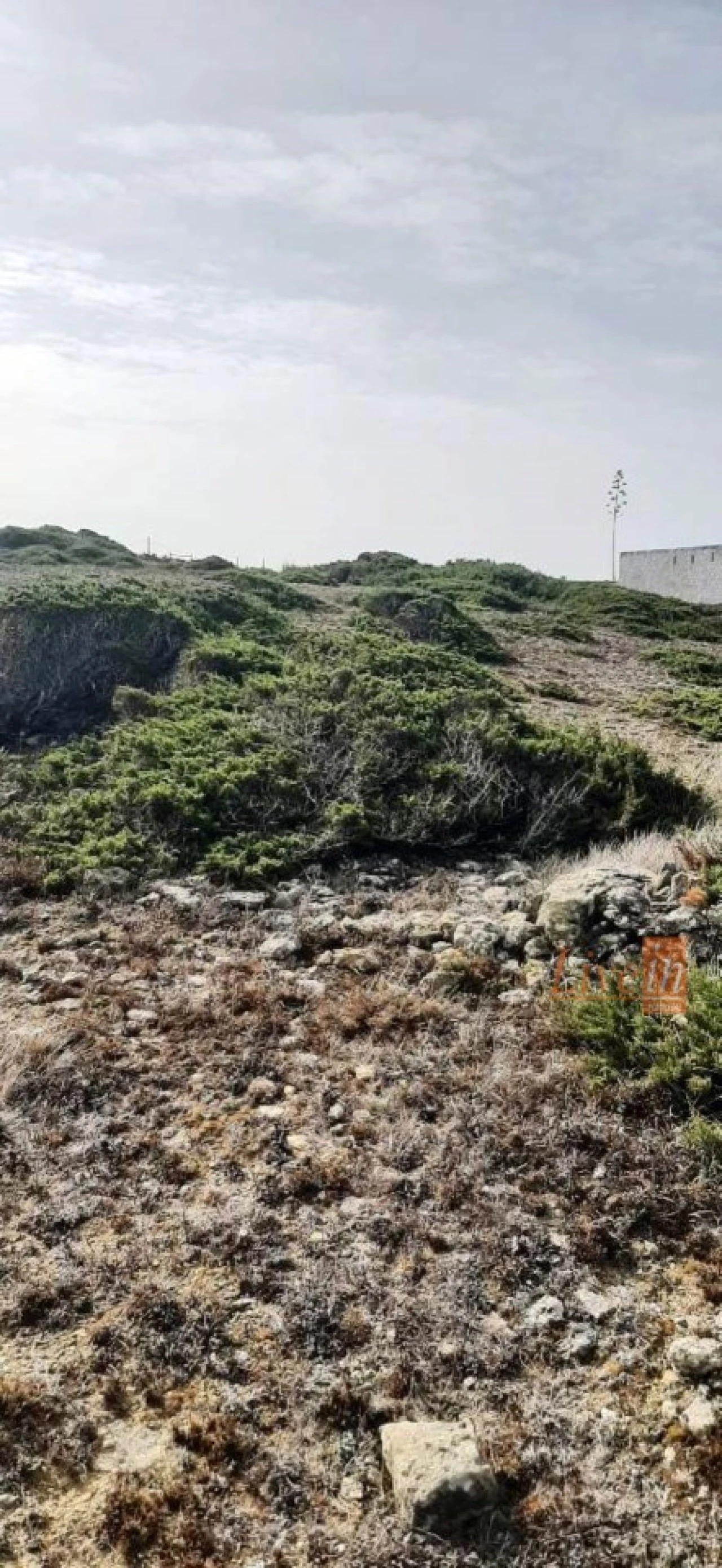 Terreno Agricola ou Rústico para Venda em São João das Lampas e Terrugem Foto 9