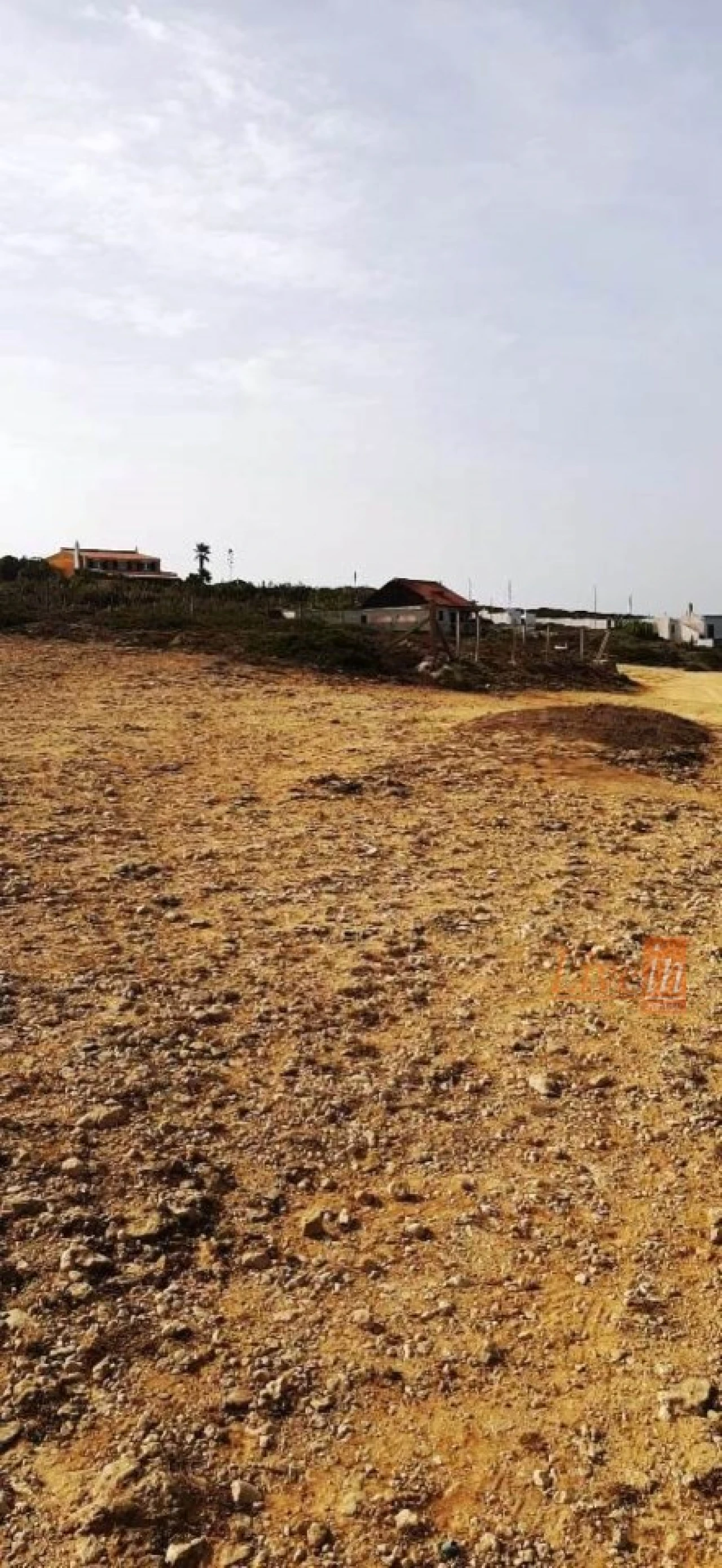 Terreno Agricola ou Rústico para Venda em São João das Lampas e Terrugem Foto 11
