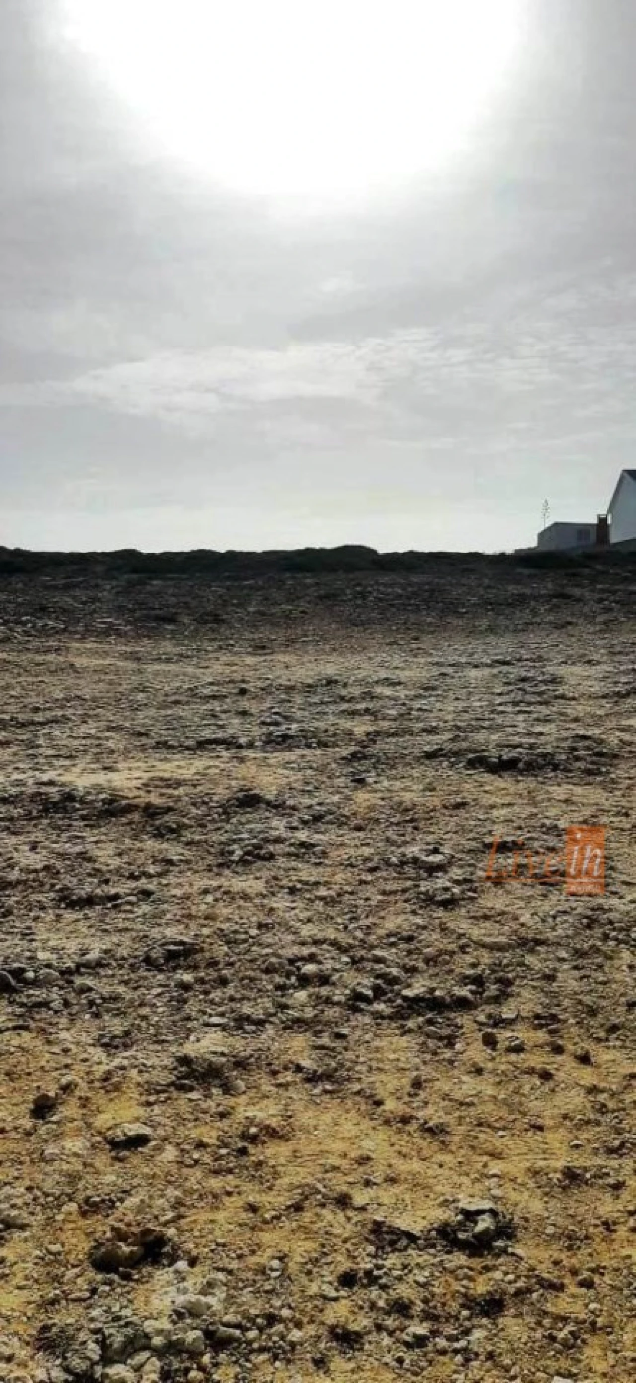 Terreno Agricola ou Rústico para Venda em São João das Lampas e Terrugem Foto 13