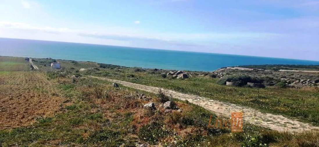 Terreno Agricola ou Rústico para Venda em São João das Lampas e Terrugem Foto 1