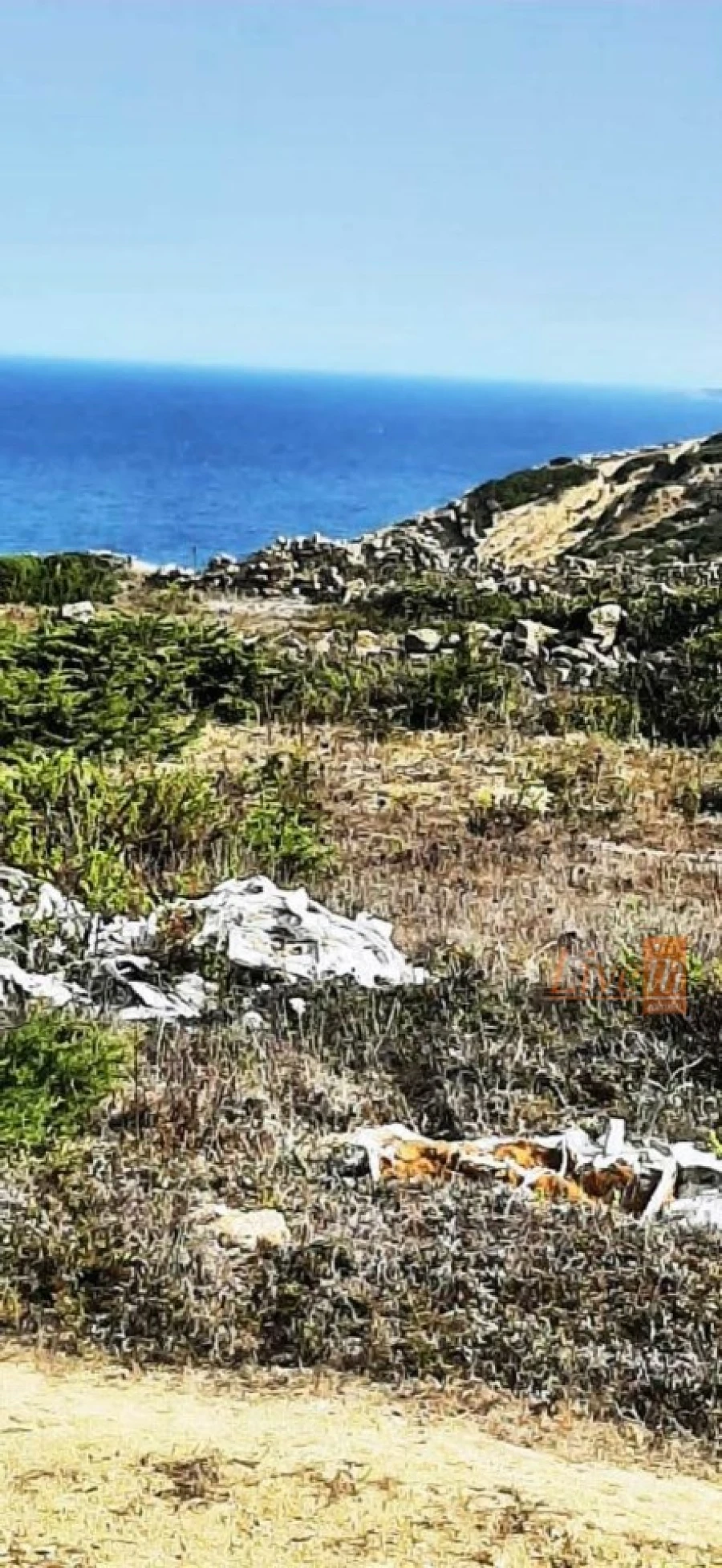 Terreno Agricola ou Rústico para Venda em São João das Lampas e Terrugem Foto 5