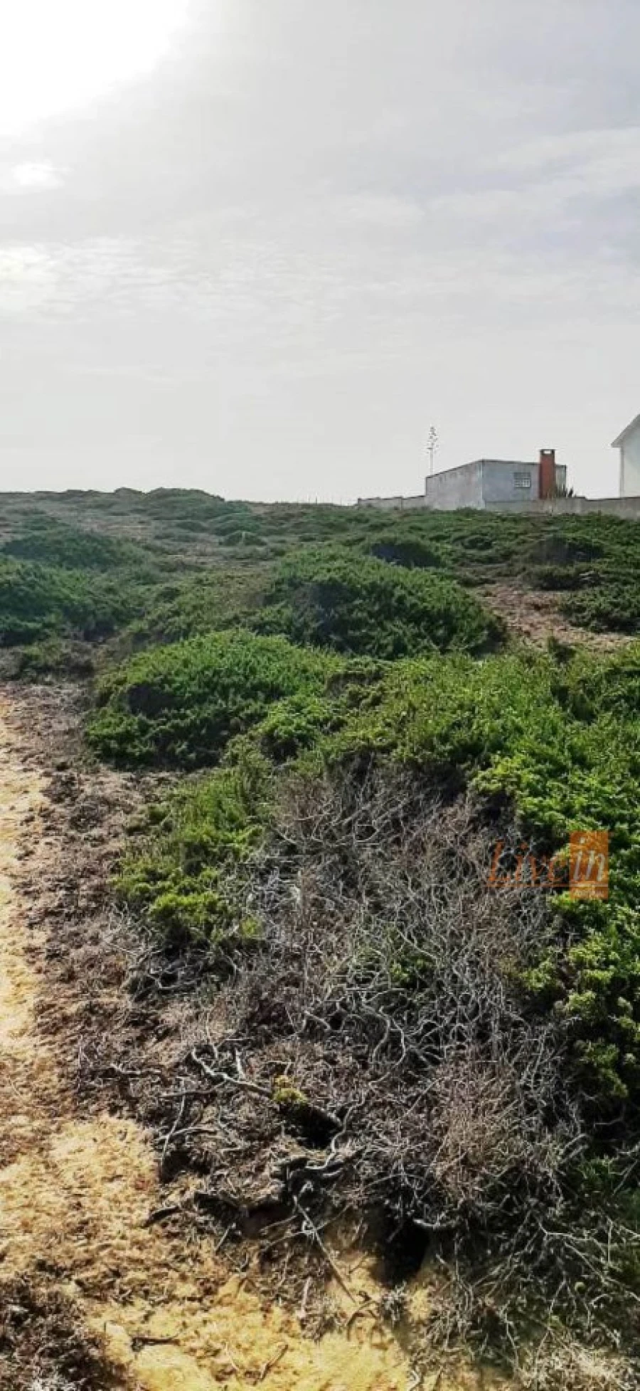 Terreno Agricola ou Rústico para Venda em São João das Lampas e Terrugem Foto 10