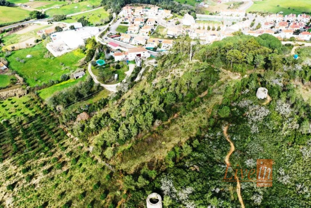 Quinta T10 para Venda em Venda do Pinheiro e Santo Estêvão das Galés Foto 14