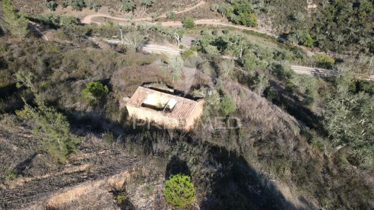 Quinta T1 para Venda em Luzianes-Gare Foto 14